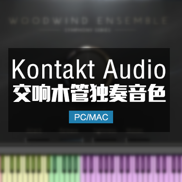 富有表现力的木管Symphony Series Woodwind
