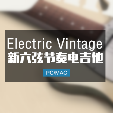 六弦节奏电吉他 Session Guitarist Electric Vintage
