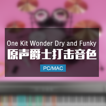 One Kit Wonder Dry and Funky 原声爵士架子鼓音色