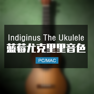 The Ukulele 蓝莓尤克里里