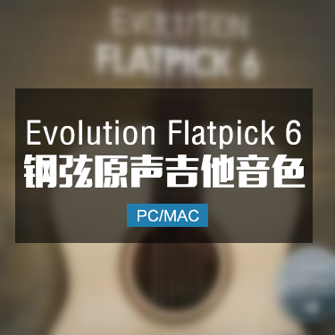 Evolution Flatpick 6 钢弦原声吉他音色