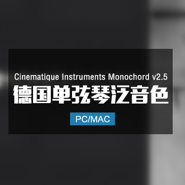 Cinematique Instruments Monochord v2.5 德国单弦琴
