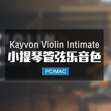 Kayvon Violin Intimate 亲密小提琴音色