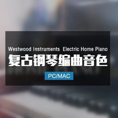 Westwood Instruments Electric Home Piano  复古电钢琴音色