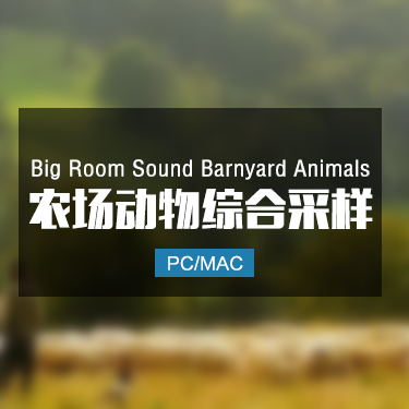 Big Room Sound Barnyard Animals 农场动物综合采样
