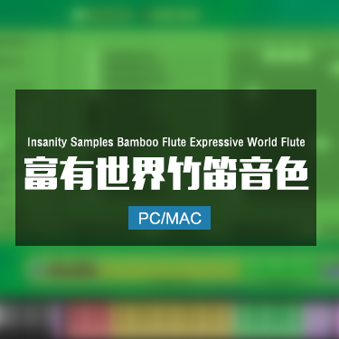 Insanity Samples Bamboo Flute Expressive World Flute 富有世界竹笛音色
