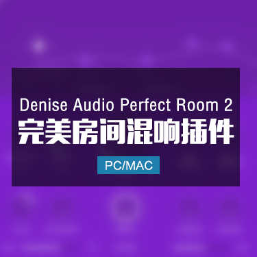 Denise Audio Perfect Room 2 完美房间混响插件 Win/Mac