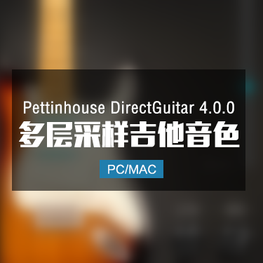 Pettinhouse DirectGuitar 4.0.0 多层采样吉他音色