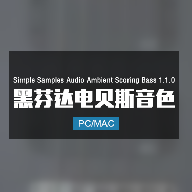 Simple Samples Audio Ambient Scoring Bass 1.1.0 黑芬达电贝斯音色