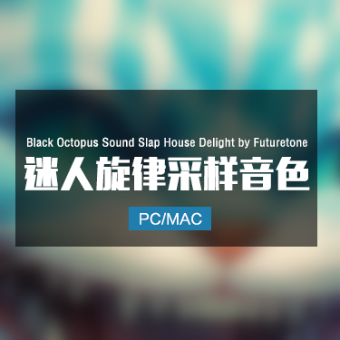 Black Octopus Sound Slap House Delight by Futuretone 迷人旋律采样音色