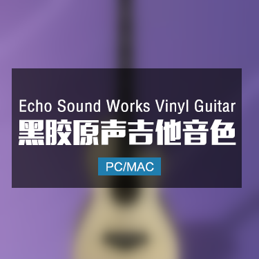 Echo Sound Works Vinyl Guitar 黑胶原声吉他音色 Win/Mac