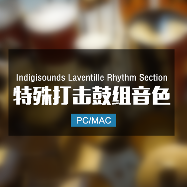 Indigisounds Laventille Rhythm Section 特殊打击鼓组音色