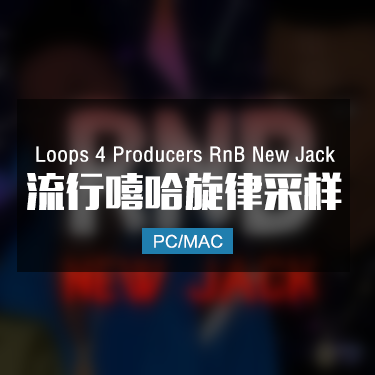 Loops 4 Producers RnB New Jack 流行嘻哈旋律采样音色