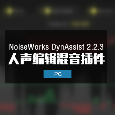 NoiseWorks DynAssist 2.2.3 人声编辑混音插件