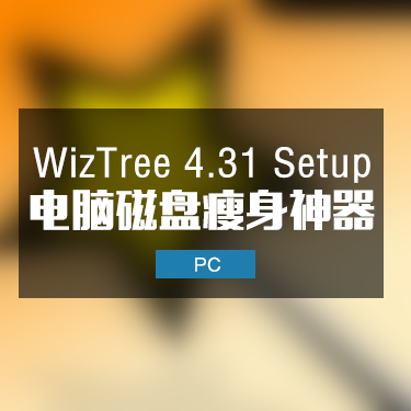 WizTree 4.31 Setup 电脑磁盘瘦身神器