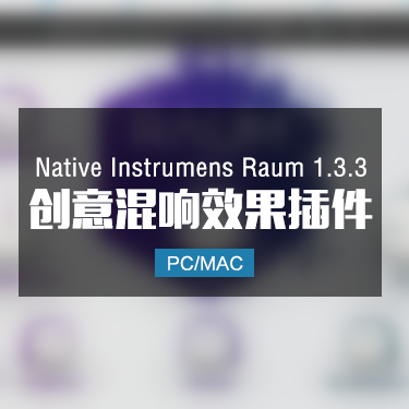 Native Instrumens Raum 1.3.3 创意混响插件 Win/Mac